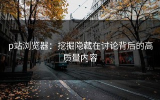 p站浏览器：挖掘隐藏在讨论背后的高质量内容