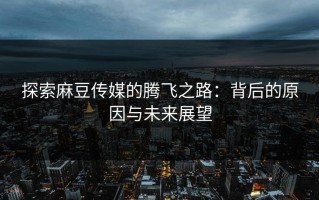 探索麻豆传媒的腾飞之路：背后的原因与未来展望