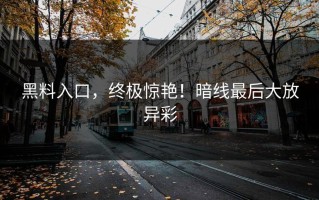 黑料入口，终极惊艳！暗线最后大放异彩