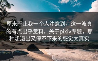 原来不止我一个人注意到，这一波真的有点出乎意料，关于pixiv专题，那种想退出又停不下来的感觉太真实
