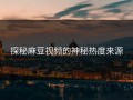 探秘麻豆视频的神秘热度来源