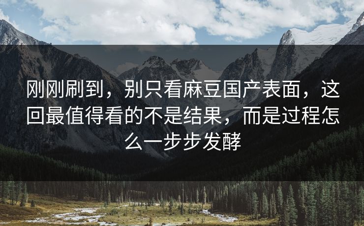 刚刚刷到，别只看麻豆国产表面，这回最值得看的不是结果，而是过程怎么一步步发酵-第1张图片-p站镜像热点页 - p站影视站