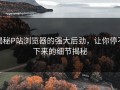 揭秘P站浏览器的强大后劲，让你停不下来的细节揭秘