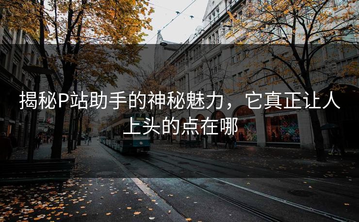 揭秘P站助手的神秘魅力，它真正让人上头的点在哪-第1张图片-p站镜像热点页 - p站影视站