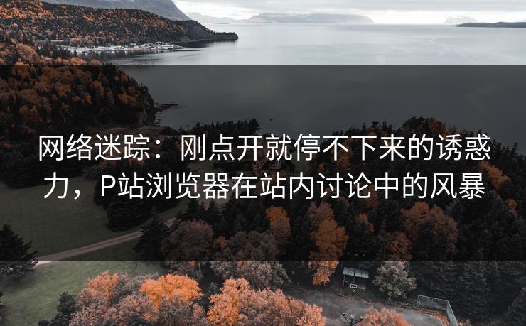 网络迷踪：刚点开就停不下来的诱惑力，P站浏览器在站内讨论中的风暴-第1张图片-p站镜像热点页 - p站影视站