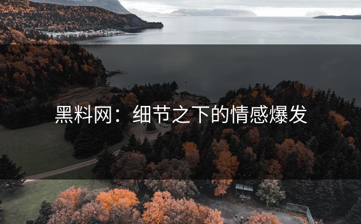 黑料网：细节之下的情感爆发-第1张图片-p站镜像热点页 - p站影视站